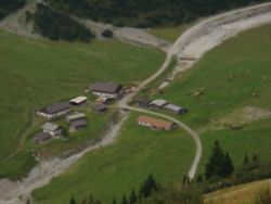 2013-09-08_6Falkenh-Steinfalk (329).JPG